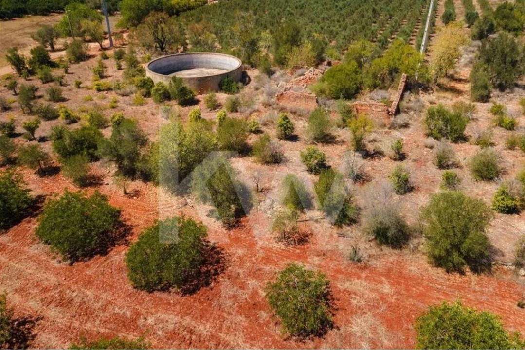 Terreno para Venda em São Bartolomeu de Messines Foto 14