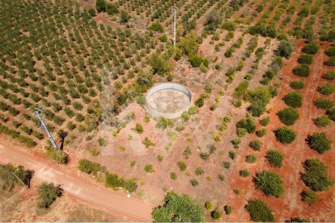 Terreno para Venda em São Bartolomeu de Messines Foto 4