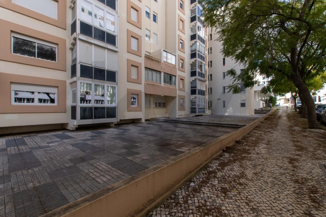 Loja para Venda em Lumiar Foto 5
