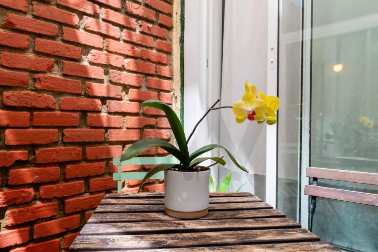 Apartamento T3 para Venda em Arroios Foto 23