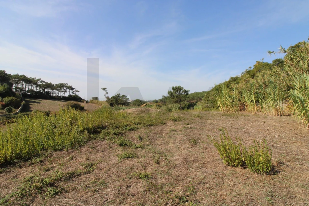 Terreno para Venda em Mafra Foto 17