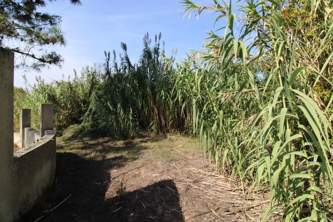 Terreno para Venda em Mafra Foto 25