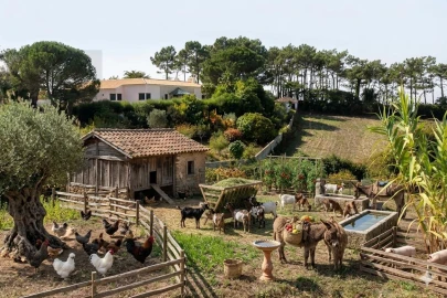 Terreno para Venda em Mafra