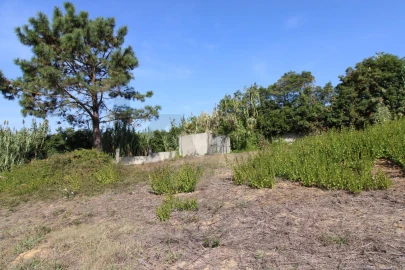 Terreno para Venda em Mafra
