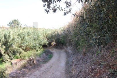 Terreno para Venda em Mafra
