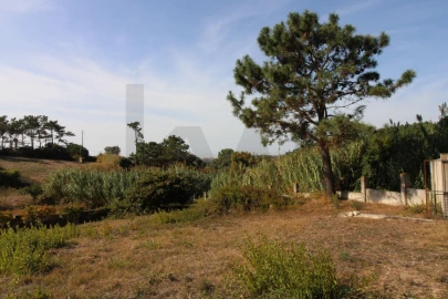 Terreno para Venda em Mafra