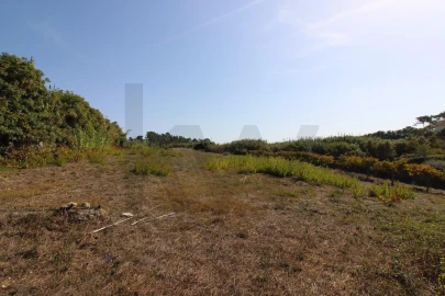 Terreno para Venda em Mafra