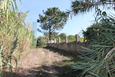 Terreno para Venda em Mafra