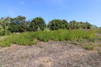 Terreno para Venda em Mafra