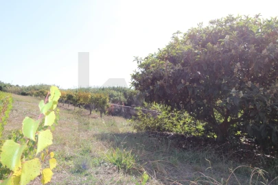 Terreno para Venda em Mafra