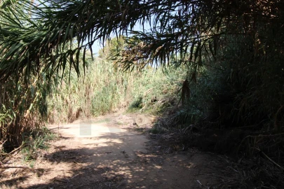 Terreno para Venda em Mafra