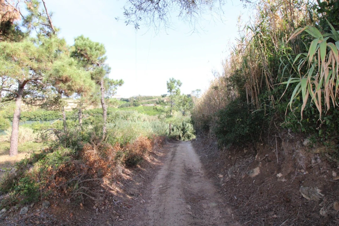 Terreno para Venda em Mafra Foto 4