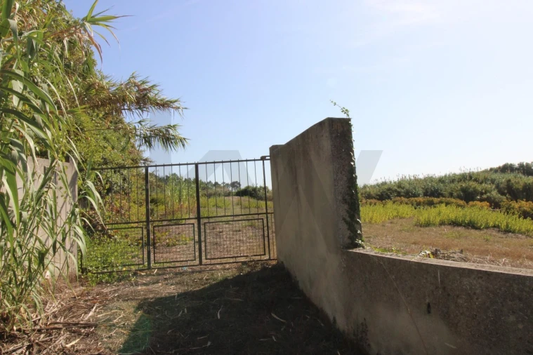 Terreno para Venda em Mafra Foto 9