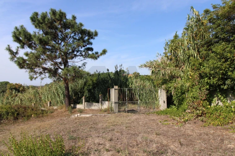 Terreno para Venda em Mafra Foto 23