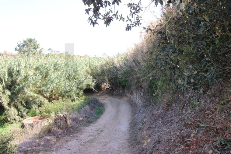 Terreno para Venda em Mafra Foto 5