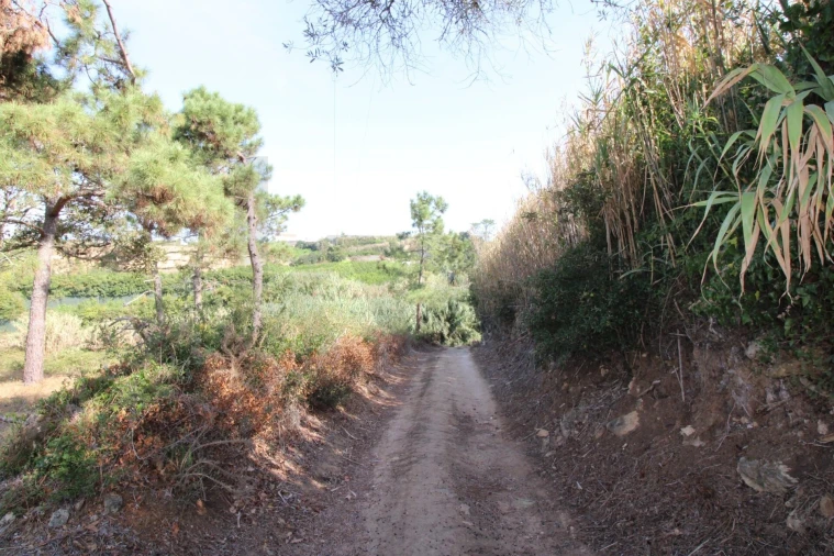 Terreno para Venda em Mafra Foto 4