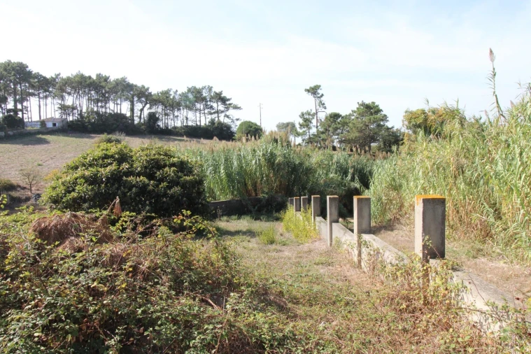 Terreno para Venda em Mafra Foto 11