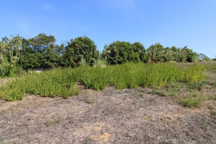 Terreno para Venda em Mafra Foto 12