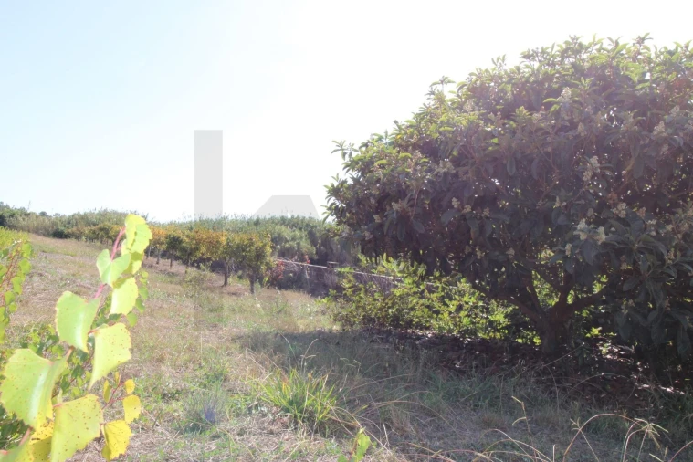 Terreno para Venda em Mafra Foto 8