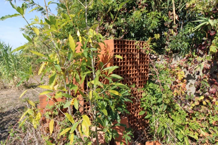 Terreno para Venda em Mafra Foto 13