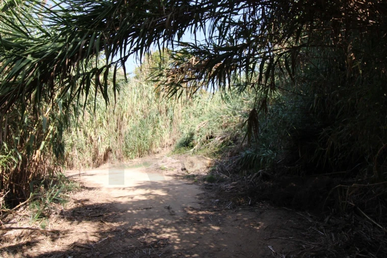 Terreno para Venda em Mafra Foto 6