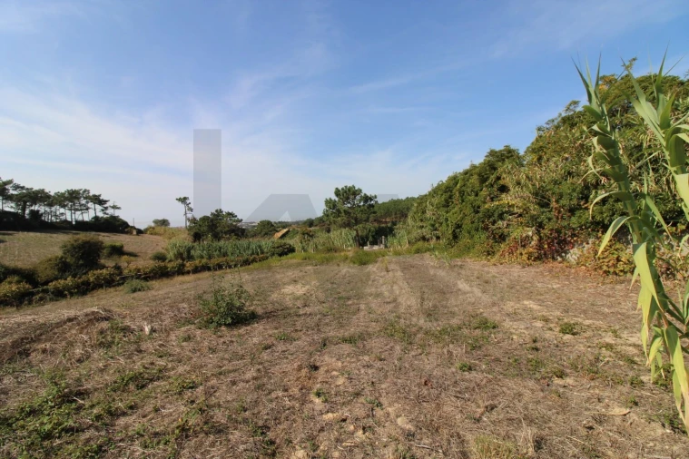 Terreno para Venda em Mafra Foto 20