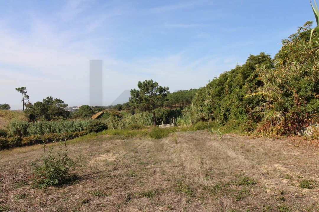 Terreno para Venda em Mafra Foto 19
