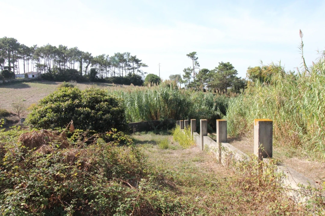 Terreno para Venda em Mafra Foto 11