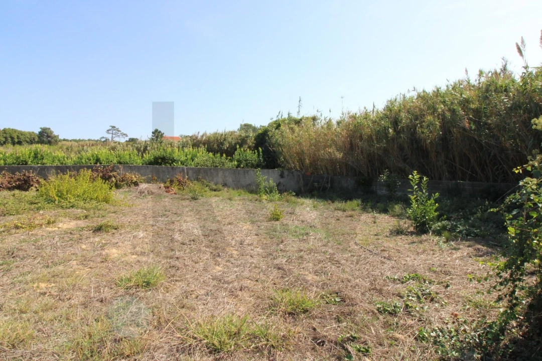Terreno para Venda em Mafra Foto 15
