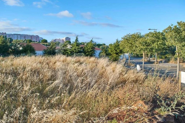 Terreno para Venda em Barcarena Foto 1
