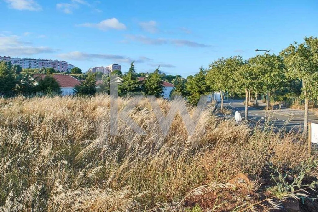 Terreno para Venda em Barcarena Foto 6