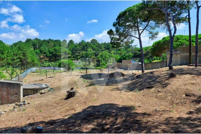 Moradia T7 para Venda em São João das Lampas e Terrugem Foto 12