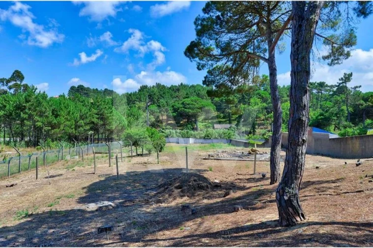 Moradia T7 para Venda em São João das Lampas e Terrugem Foto 13