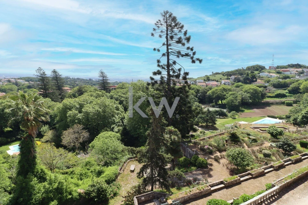 Quinta T32 para Venda em São João das Lampas e Terrugem Foto 40