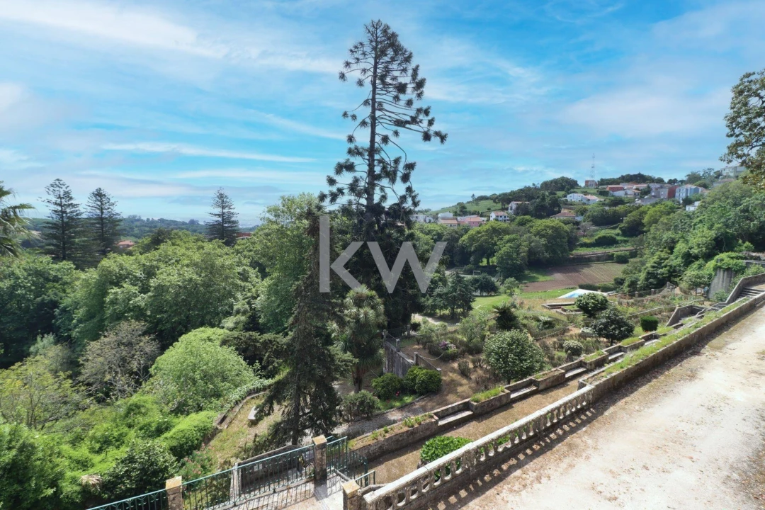 Quinta T32 para Venda em São João das Lampas e Terrugem Foto 33