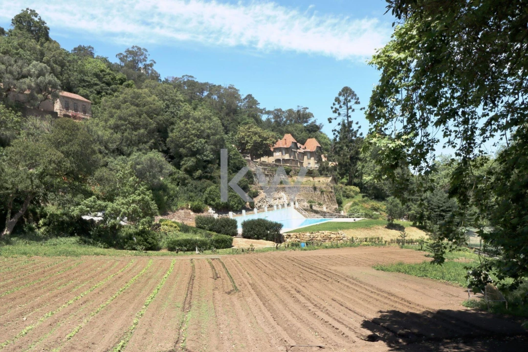 Quinta T32 para Venda em São João das Lampas e Terrugem Foto 58