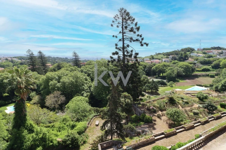 Quinta T32 para Venda em São João das Lampas e Terrugem Foto 40