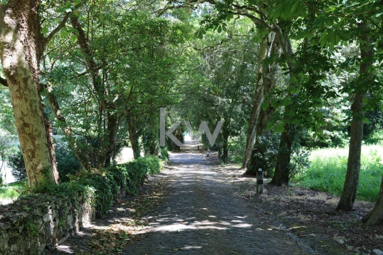 Quinta T32 para Venda em São João das Lampas e Terrugem Foto 60