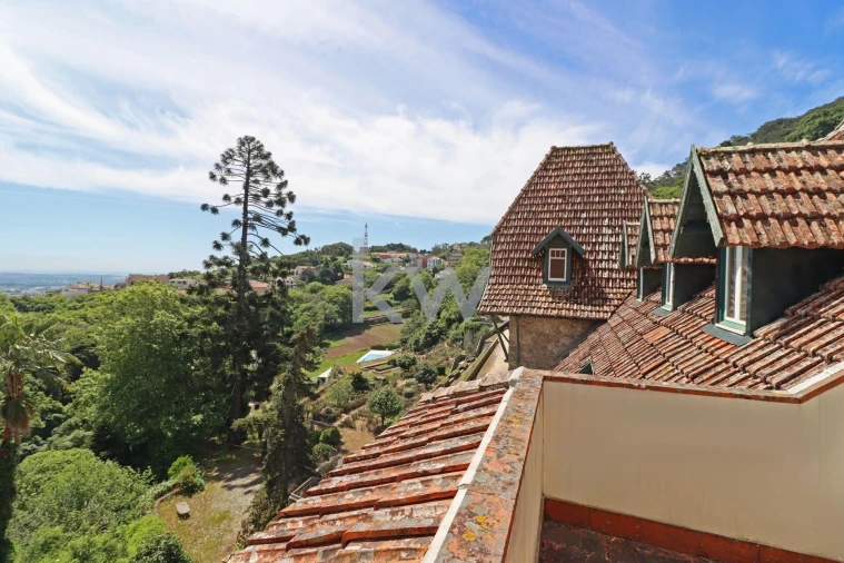 Quinta T32 para Venda em São João das Lampas e Terrugem Foto 42