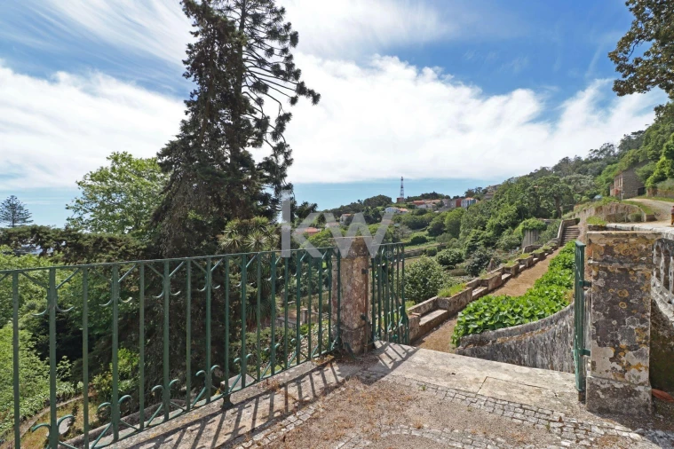 Quinta T32 para Venda em São João das Lampas e Terrugem Foto 51