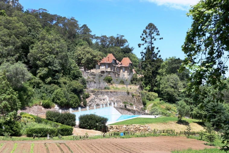 Quinta T32 para Venda em São João das Lampas e Terrugem Foto 59