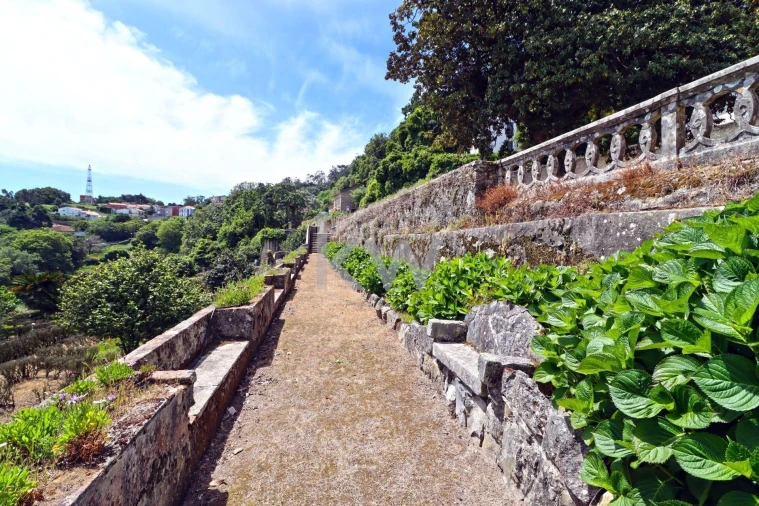 Quinta T32 para Venda em São João das Lampas e Terrugem Foto 52