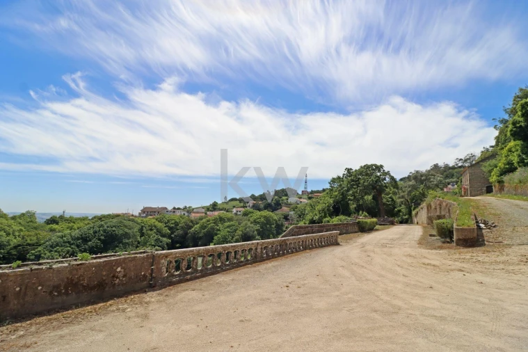 Quinta T32 para Venda em São João das Lampas e Terrugem Foto 44