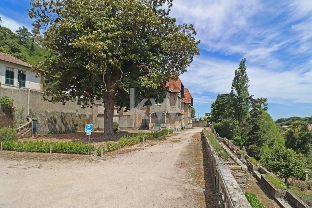 Quinta T32 para Venda em São João das Lampas e Terrugem Foto 45