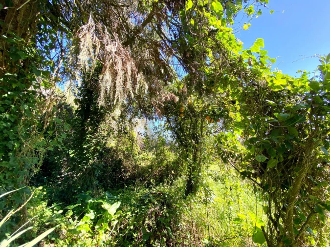 Moradia T2 para Venda em São João das Lampas e Terrugem Foto 13