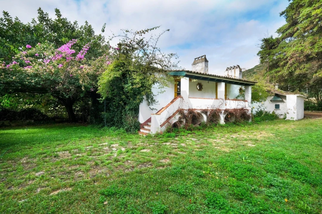 Quinta T14 para Venda em Vila Franca de Xira Foto 31