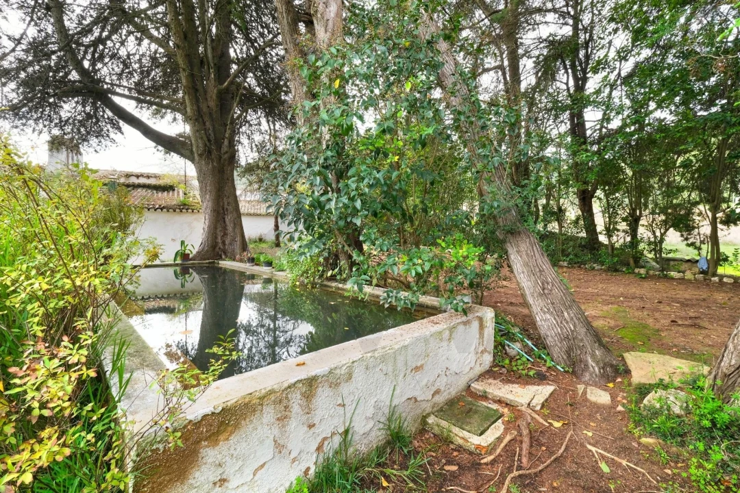 Quinta T14 para Venda em Vila Franca de Xira Foto 46