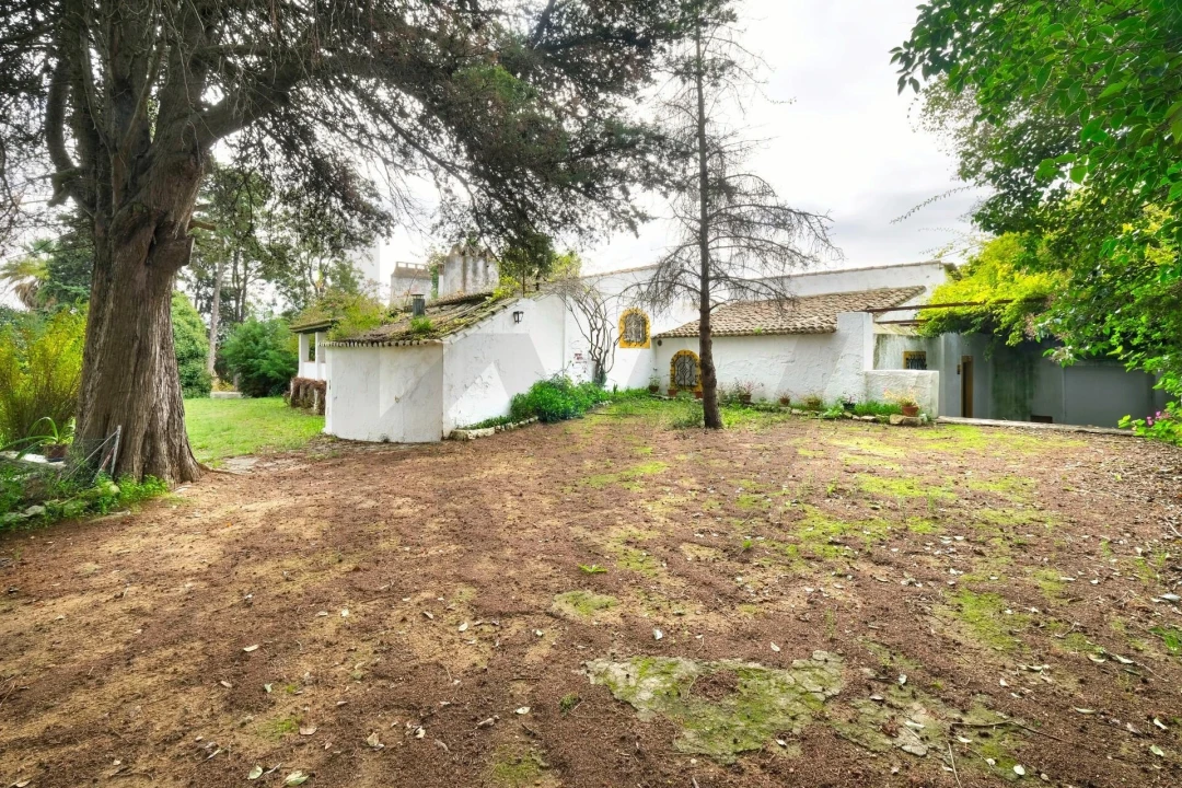 Quinta T14 para Venda em Vila Franca de Xira Foto 50