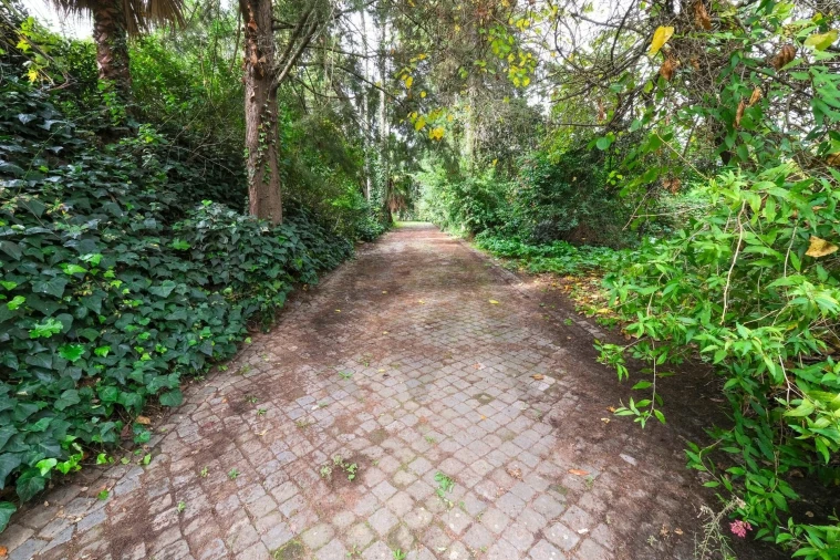 Quinta T14 para Venda em Vila Franca de Xira Foto 43