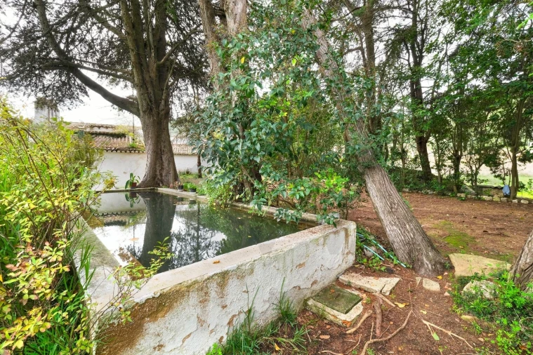 Quinta T14 para Venda em Vila Franca de Xira Foto 46